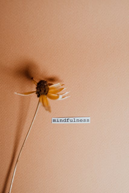 Mindfulness Strategies yellow flower with mindfulness text